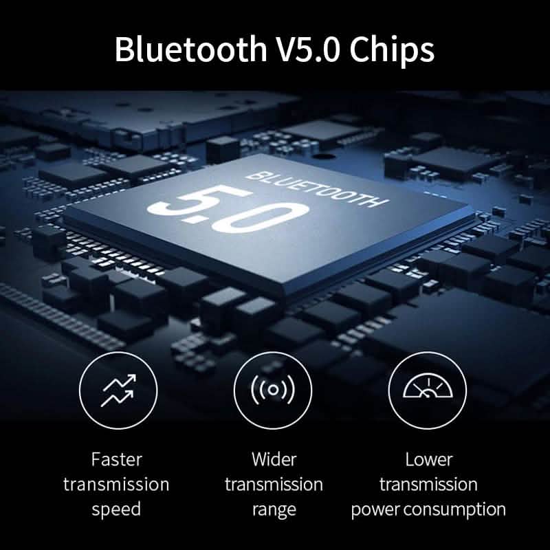 True Wireless Bluetooth 5.0 Earbuds with Charging Case